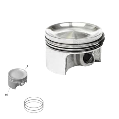 PISTON ASSY, 73.958 mm 420893970