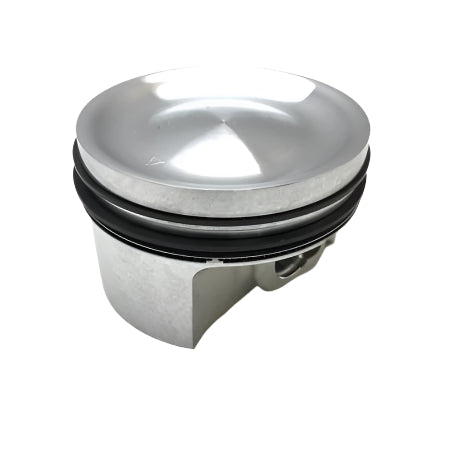 PISTONS ASSY 73.958mm 420893973